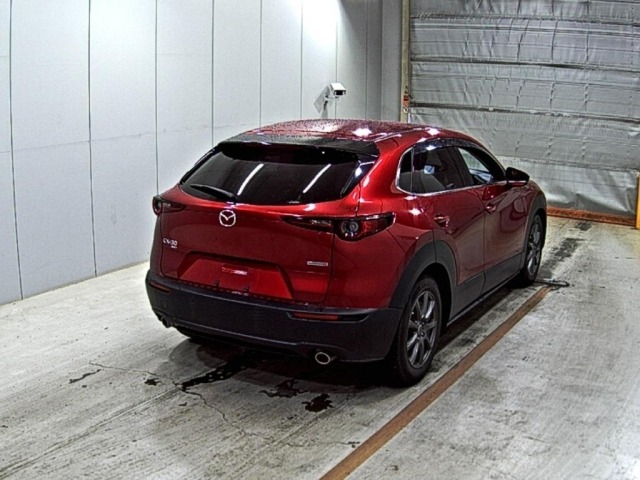 Mazda CX-30 2021 6992819-5