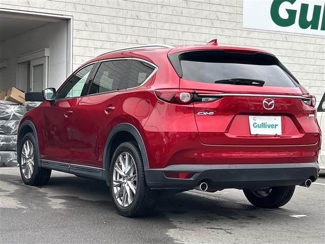 Mazda CX-8 2018 6982187-13