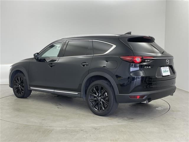 Mazda CX-8 2022 6982249-13