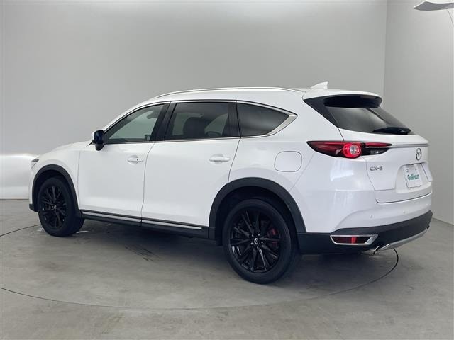 Mazda CX-8 2019 6982264-13
