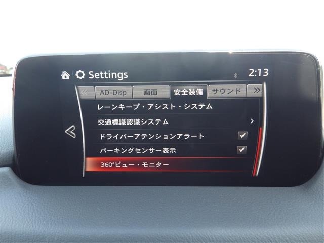 Mazda CX-8 2019 6982388-19