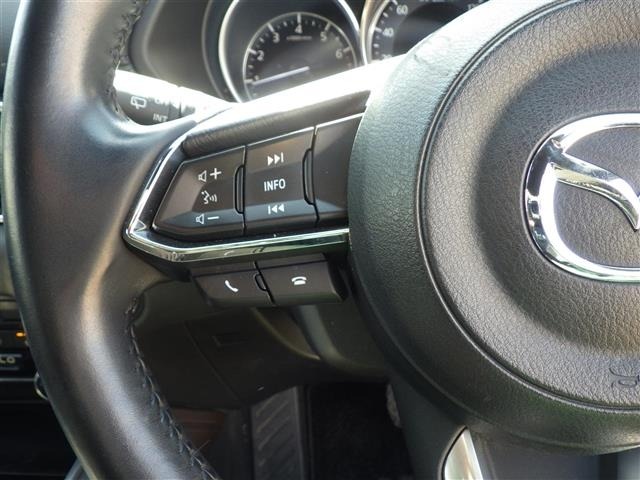 Mazda CX-8 2019 6982388-22