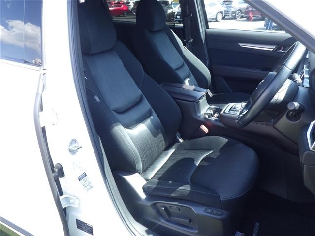 Mazda CX-8 2019 6982388-4