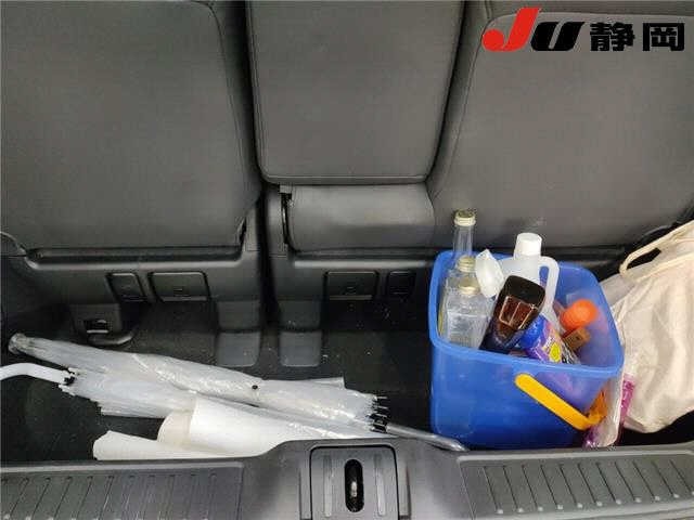 Honda ELYSION 2009 6994485-9