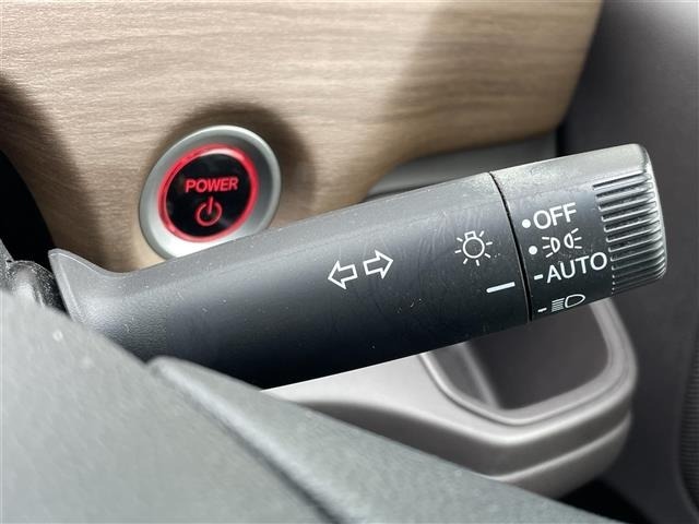 Honda FREED 2019 6999447-6