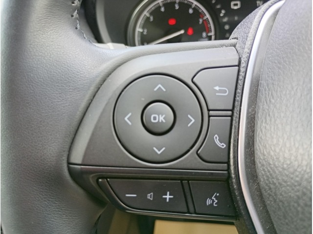 Toyota HARRIER 2023 6988554-14
