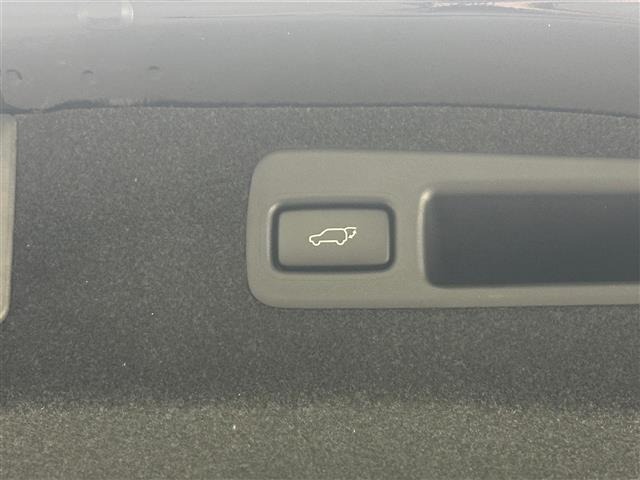 Toyota HARRIER 2019 6991042-21