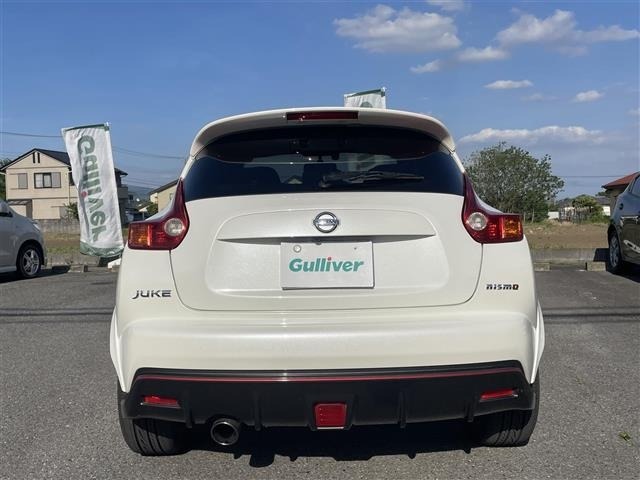 Nissan JUKE 2013 6973757-19