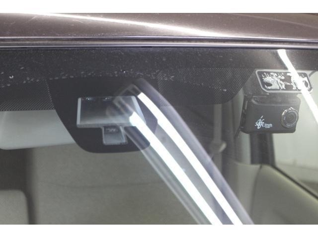 Suzuki LAPIN 2017 6988453-8
