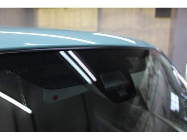 Suzuki LAPIN 2016 6988472-14