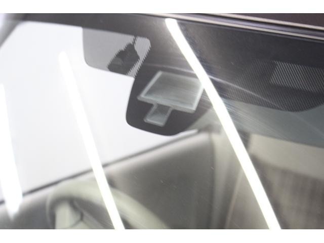 Suzuki LAPIN 2016 6988515-15