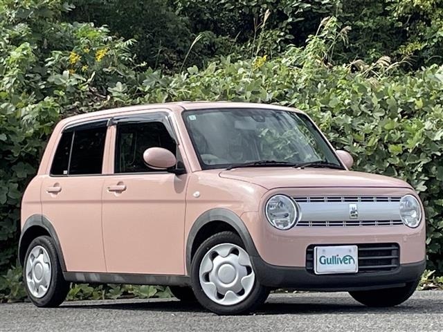 Suzuki LAPIN 2016 6988666-15