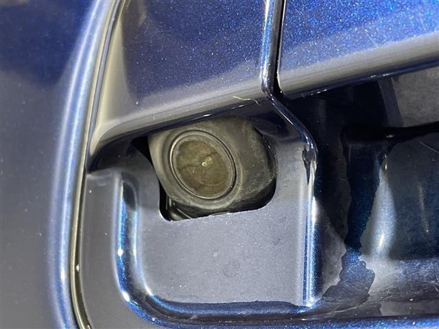 Suzuki LAPIN 2019 6988839-19