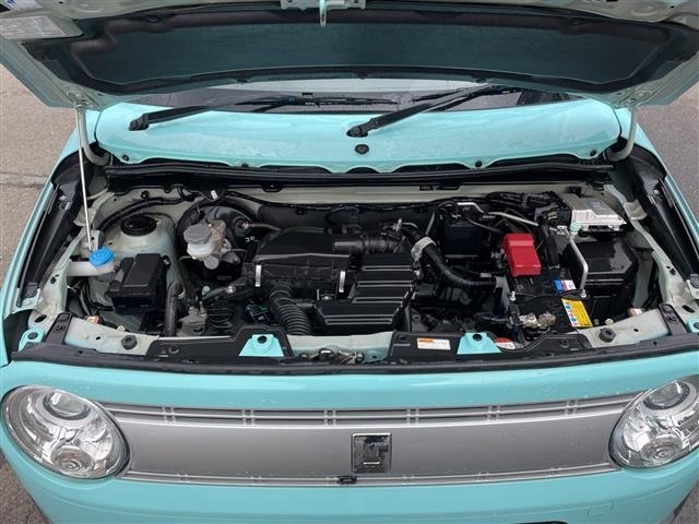 Suzuki LAPIN 2015 6988909-15
