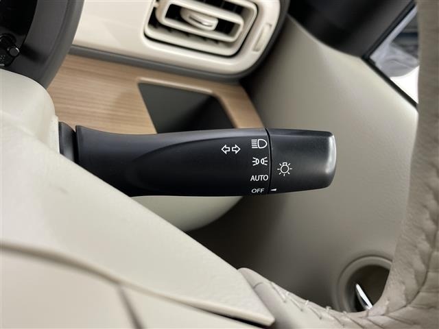 Suzuki LAPIN 2016 6988975-21