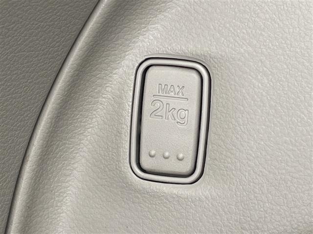 Suzuki LAPIN 2018 6988982-13