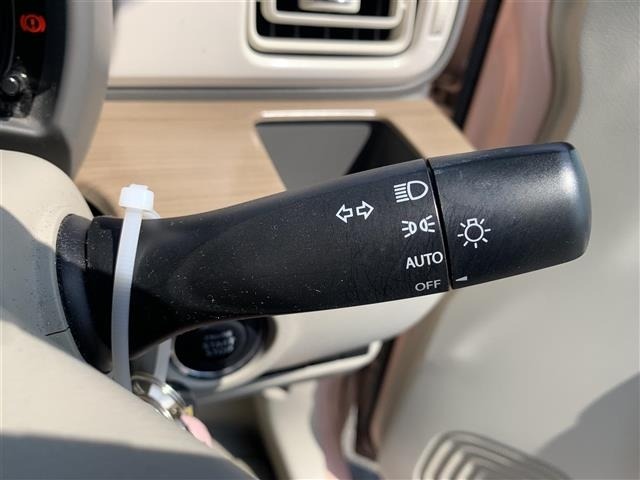Suzuki LAPIN 2016 6989028-19