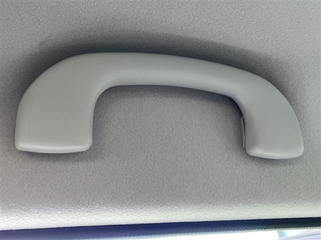 Suzuki LAPIN 2014 6989046-11