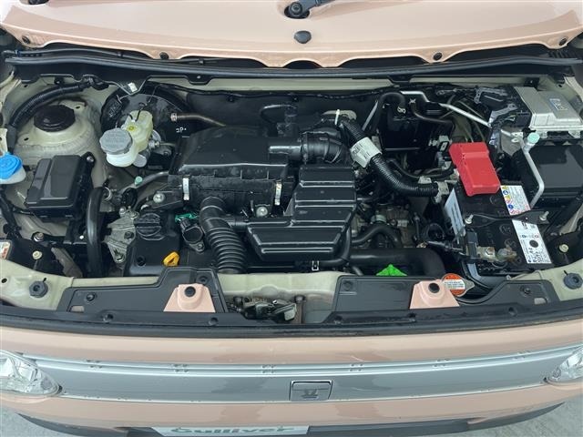 Suzuki LAPIN 2017 6989082-14