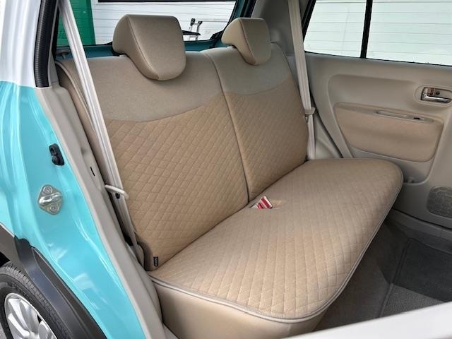 Suzuki LAPIN 2015 6989153-12