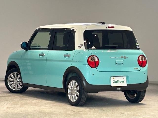 Suzuki LAPIN 2015 6989153-13