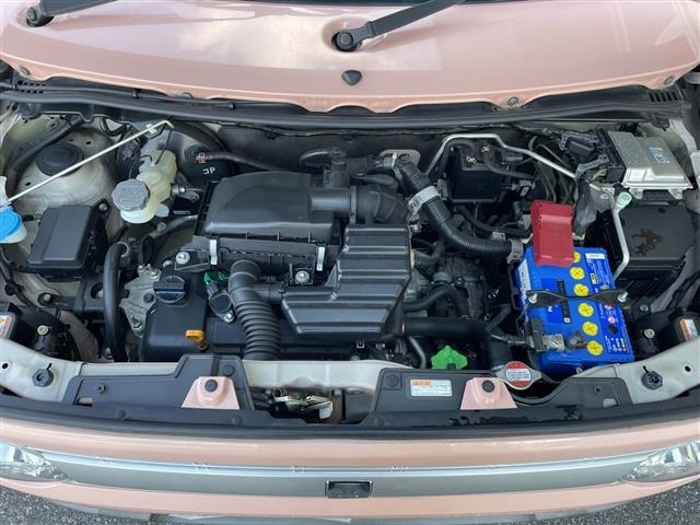 Suzuki LAPIN 2015 6989157-15