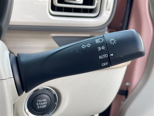 Suzuki LAPIN 2015 6989157-22