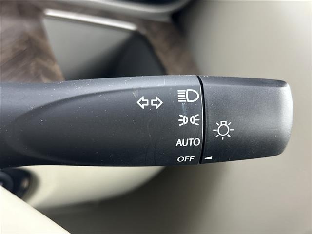 Suzuki LAPIN 2019 6989165-1