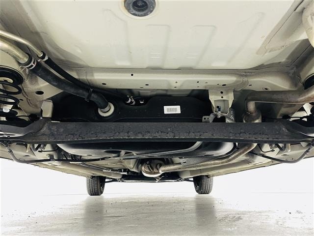 Suzuki LAPIN 2017 6989166-13