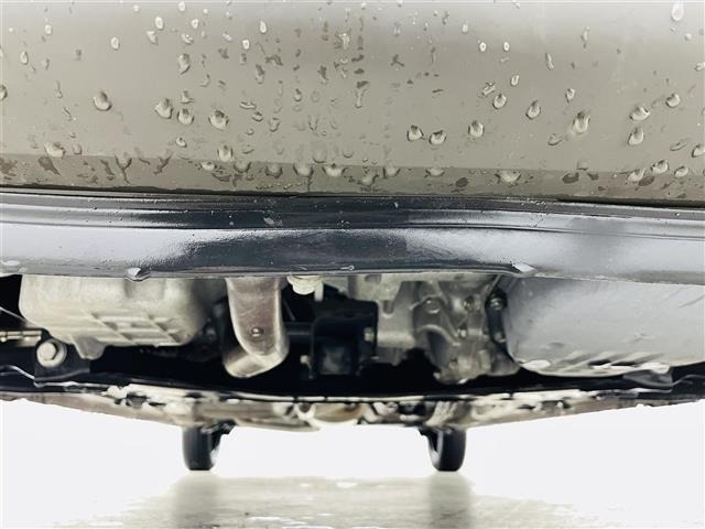 Suzuki LAPIN 2018 6989179-13