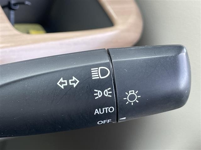 Suzuki LAPIN 2019 6989184-10