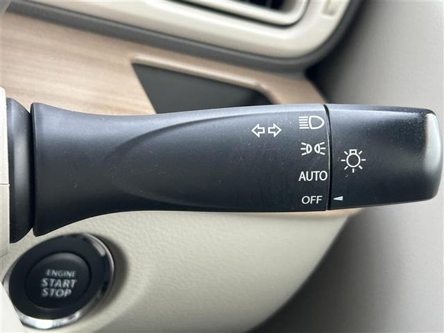 Suzuki LAPIN 2016 6989202-16