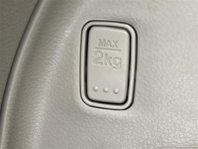 Suzuki LAPIN 2015 6989251-12