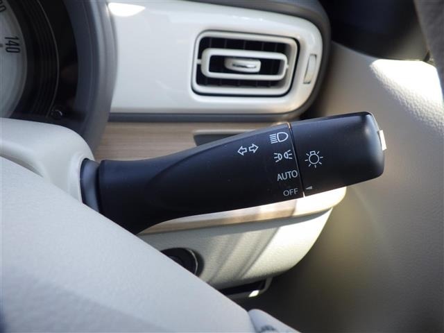 Suzuki LAPIN 2015 6989259-10
