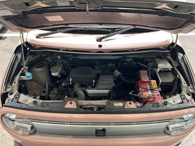 Suzuki LAPIN 2017 6989265-14