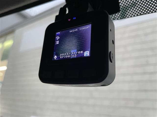 Suzuki LAPIN 2013 6989292-10