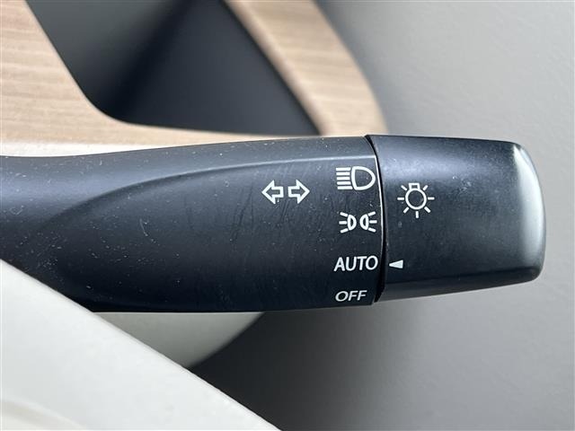 Suzuki LAPIN 2017 6989294-19