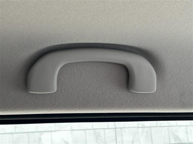 Suzuki LAPIN 2014 6989295-22