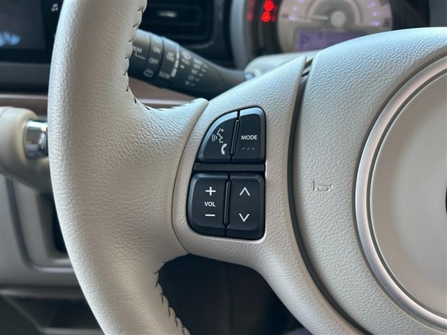 Suzuki LAPIN 2022 6989341-21