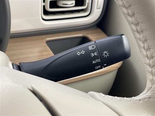 Suzuki LAPIN 2018 6989373-20
