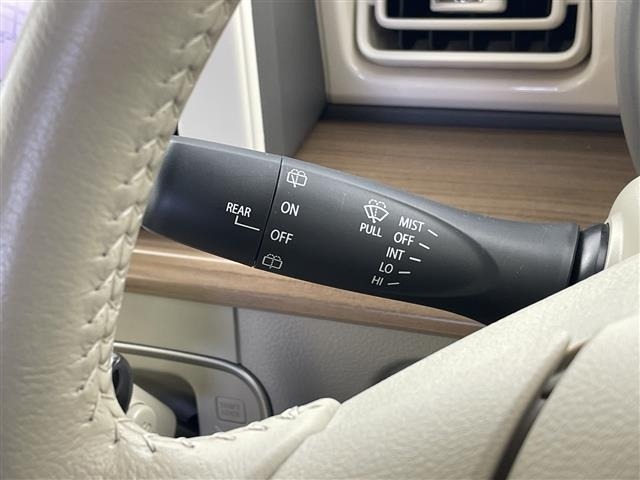 Suzuki LAPIN 2018 6989373-3