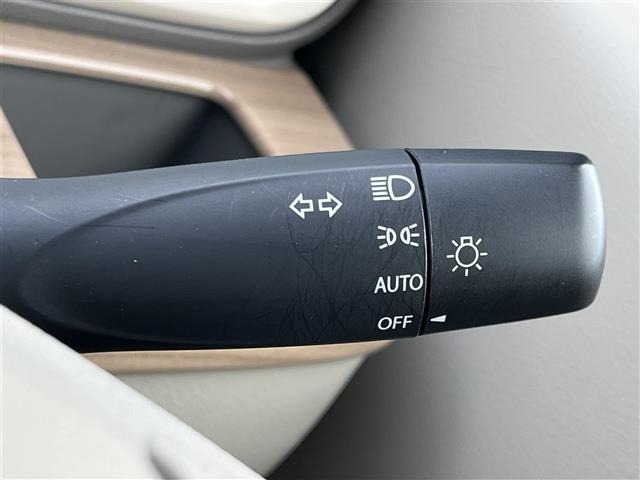 Suzuki LAPIN 2017 6989393-7