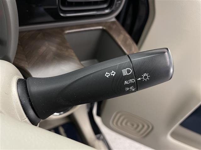 Suzuki LAPIN 2021 6989443-10