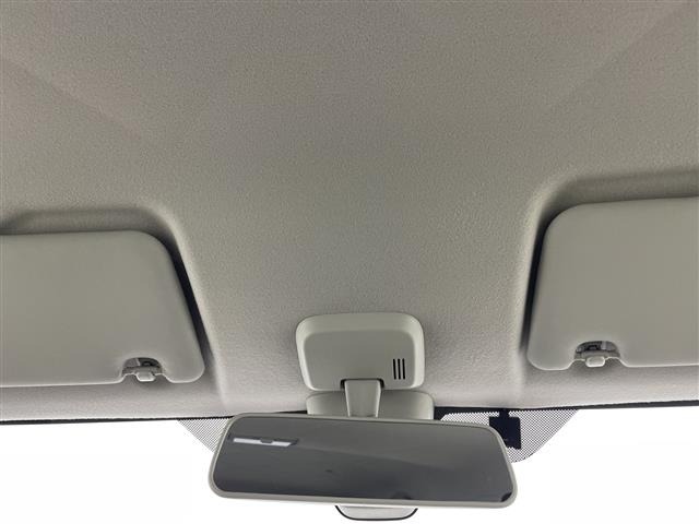 Suzuki LAPIN 2018 6989489-12