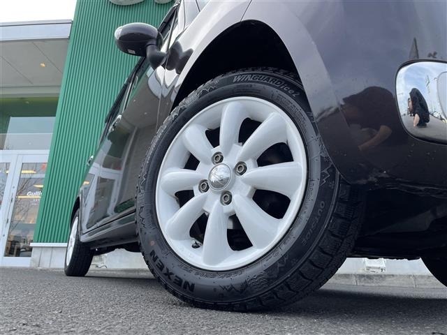 Suzuki LAPIN 2013 6989668-20