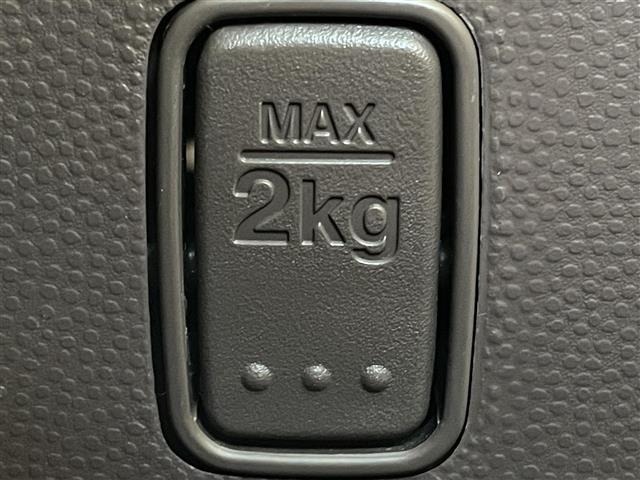 Suzuki LAPIN 2014 6989719-10