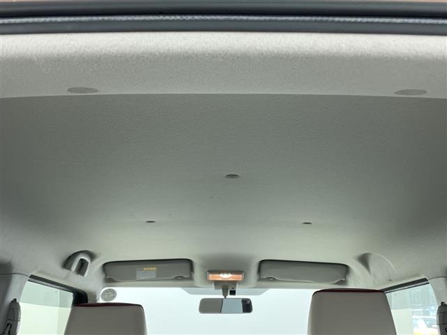 Suzuki LAPIN 2013 6989727-13