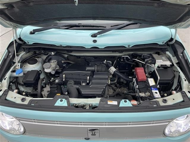 Suzuki LAPIN 2016 6989785-14