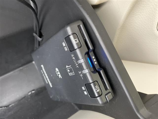 Suzuki LAPIN 2019 6989786-21