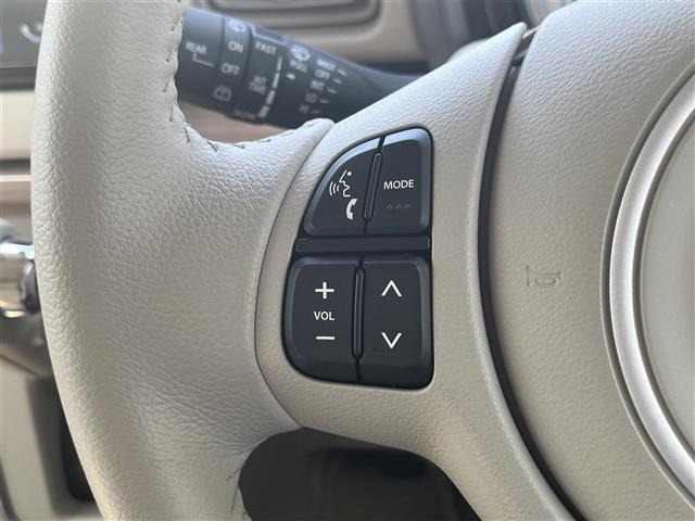 Suzuki LAPIN 2021 6989816-21